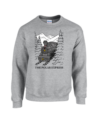 The polar express - express, hoodie